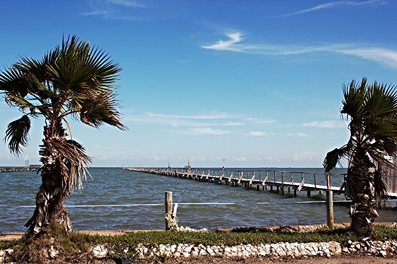 Reel `Em Inn on the Bay 23 Rockport, TX Miss Kitty`s Fishing Getaways