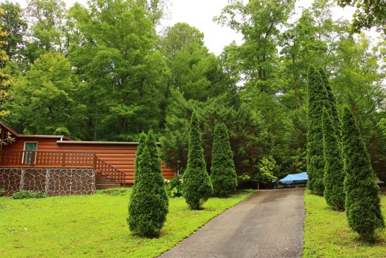 Vacation Rental Cabins In East Tennessee Norris Lake Cabin