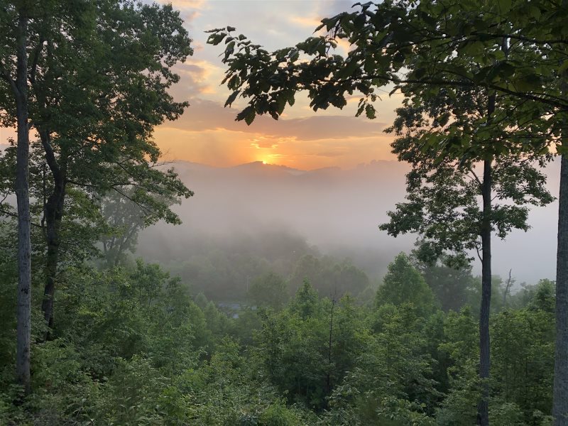 Rustic Charm Has Private Hiking Trail Accessing Norris Lake King Bed Pool Table
