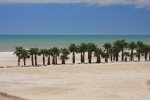 Beach View From Patio