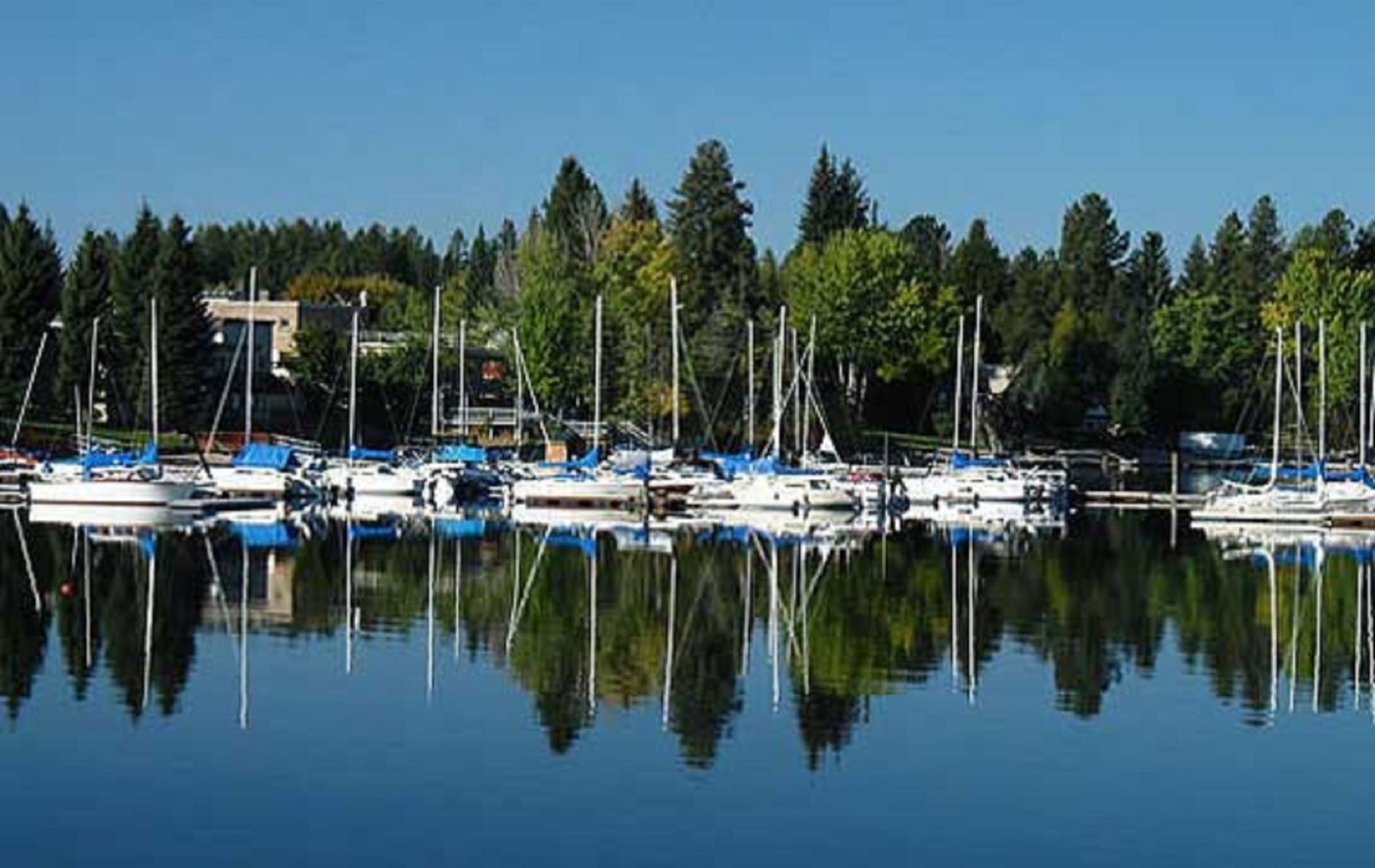 Mile High Marina Mccall Idaho - Things to Do in McCall, Idaho - WanderWisdom - A camera overlooking the mile high marina on payette lake in mccall.