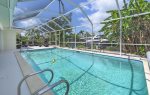 Tropical and Lush landscape Surrounding the Pool at Cocoa Cabana