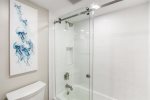 Renovated Shower in Guest Bathroom
