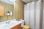Walk-Out Basement Hall Bath