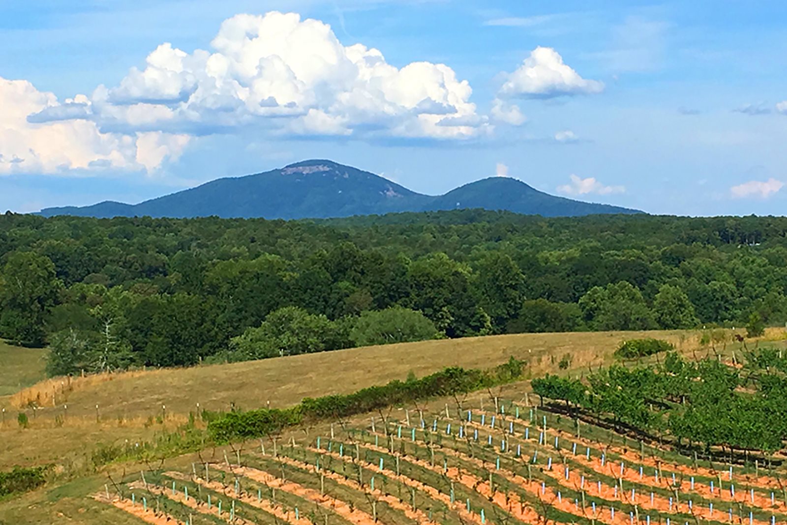 The Cove at Lake Burton 4 Bdr Lakefront Vacation Rental on Lake Burton near Helen GA. Sleeps 12