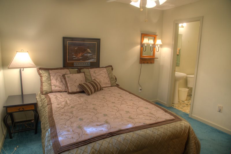 Spacious Cabin Rental in Helen sleeps 20 Innsbruck Golf Resort