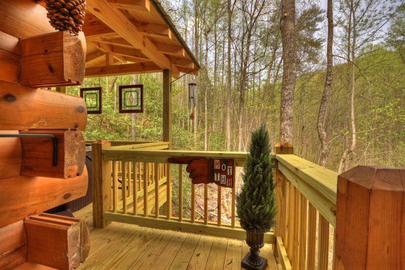 Boo Bear -Southern Comfort Cabin Rentals in Beautiful Blue ...
