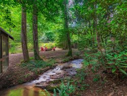 Babbling Brook - 10 Minutes from Downtown Blue Ridge