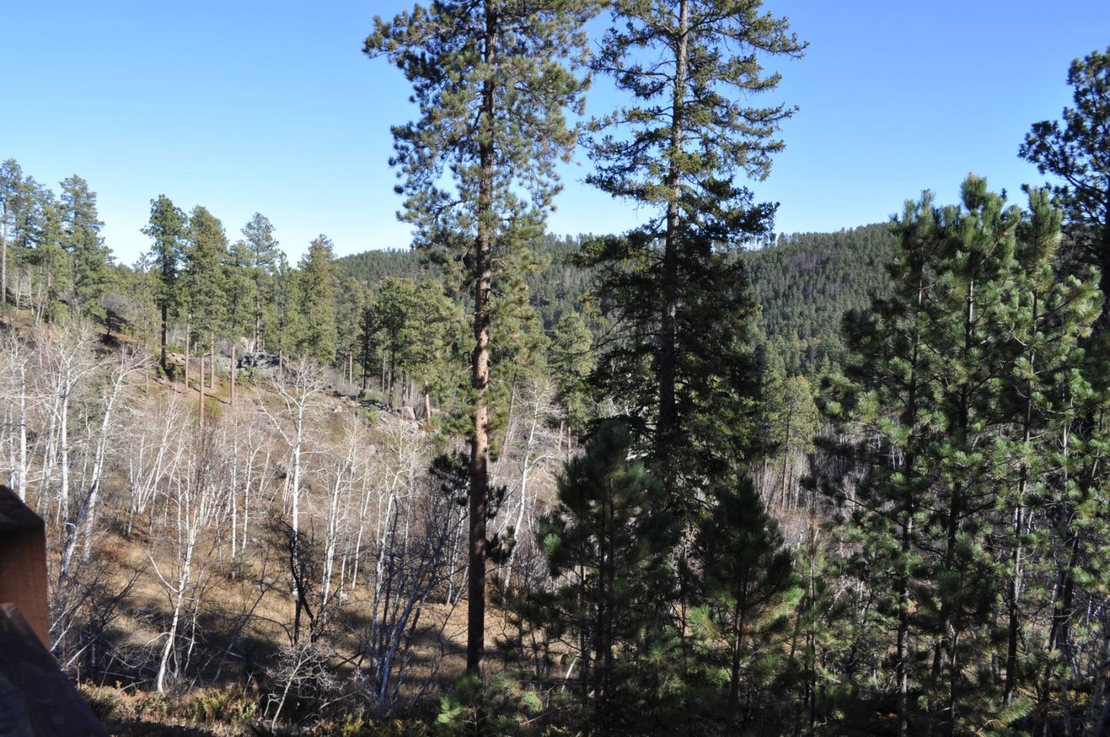 Gold Baron Lodge Deadwood Connections