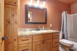 Cloud 9 Cabin downstairs lbath with tub/shower combo.
