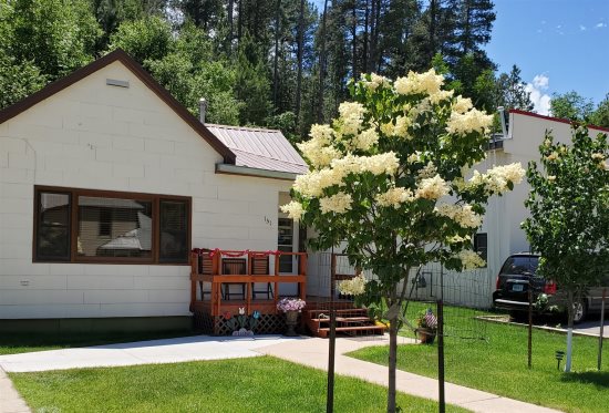 Pet Friendly Black Hills Vacation Rentals Dogs Allowed