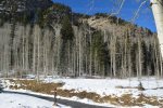 View up Columbine Gulch