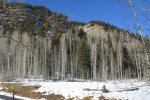 View up Columbine Gulch