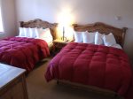 Two Comfy Queen Beds, Feather Pillows and Goose Down Comforters