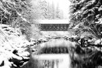 Onsite Covered Bridge and River