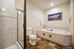 Guest Bathroom with Separate Jacuzzi Tub