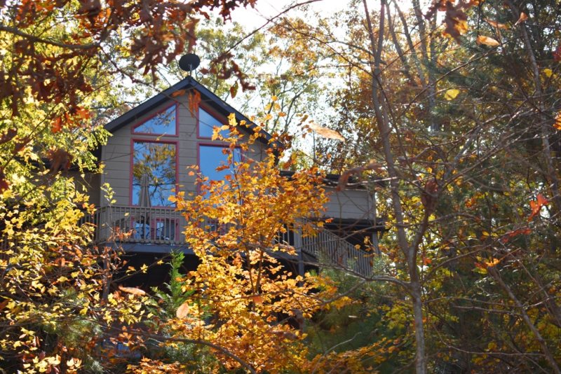 A Touch Of Bearadise Located In Morganton North Ga Cabin