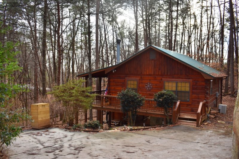 Cheery Dog Cabin Located In Cherry Log North Ga Cabin Rental