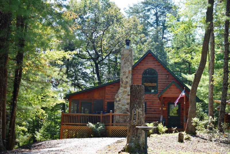 Serendipity Located In Cherry Log North Ga Cabin Rental