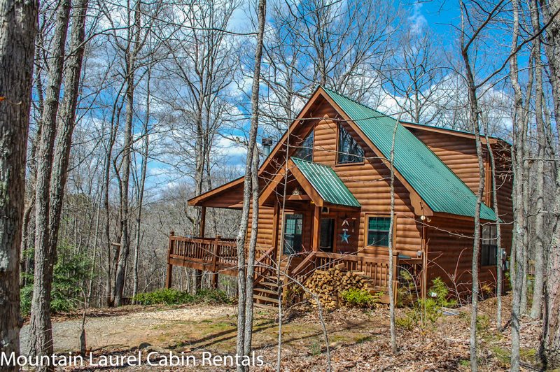 Wolf S Den Located In Blue Ridge North Ga Cabin Rental