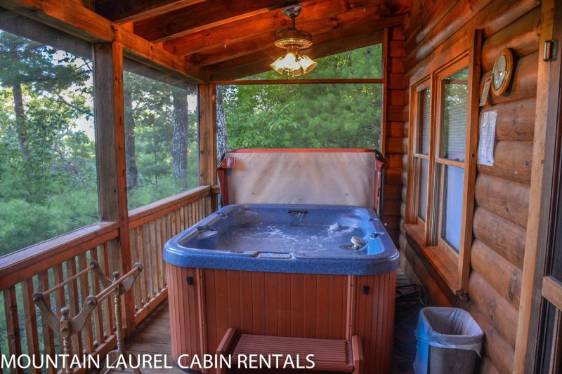 3 Bears Lodge Located In Cherry Log Ga North Ga Cabin Rental