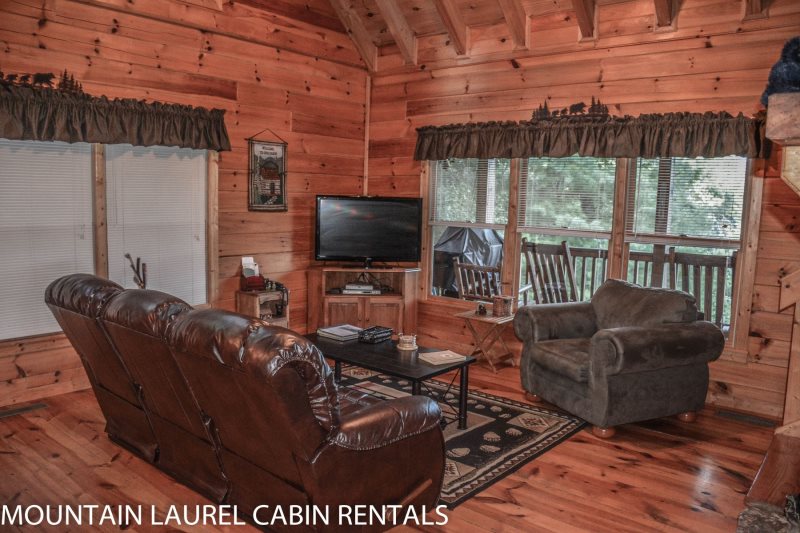 3 Bears Lodge Located In Cherry Log Ga North Ga Cabin Rental