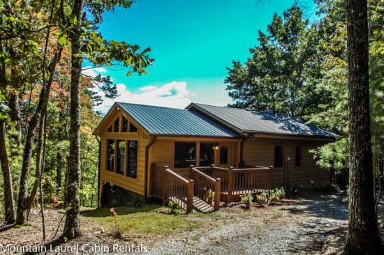 Vista Located In Cherry Log North Ga Cabin Rental