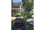 Lovely flowers all summer long