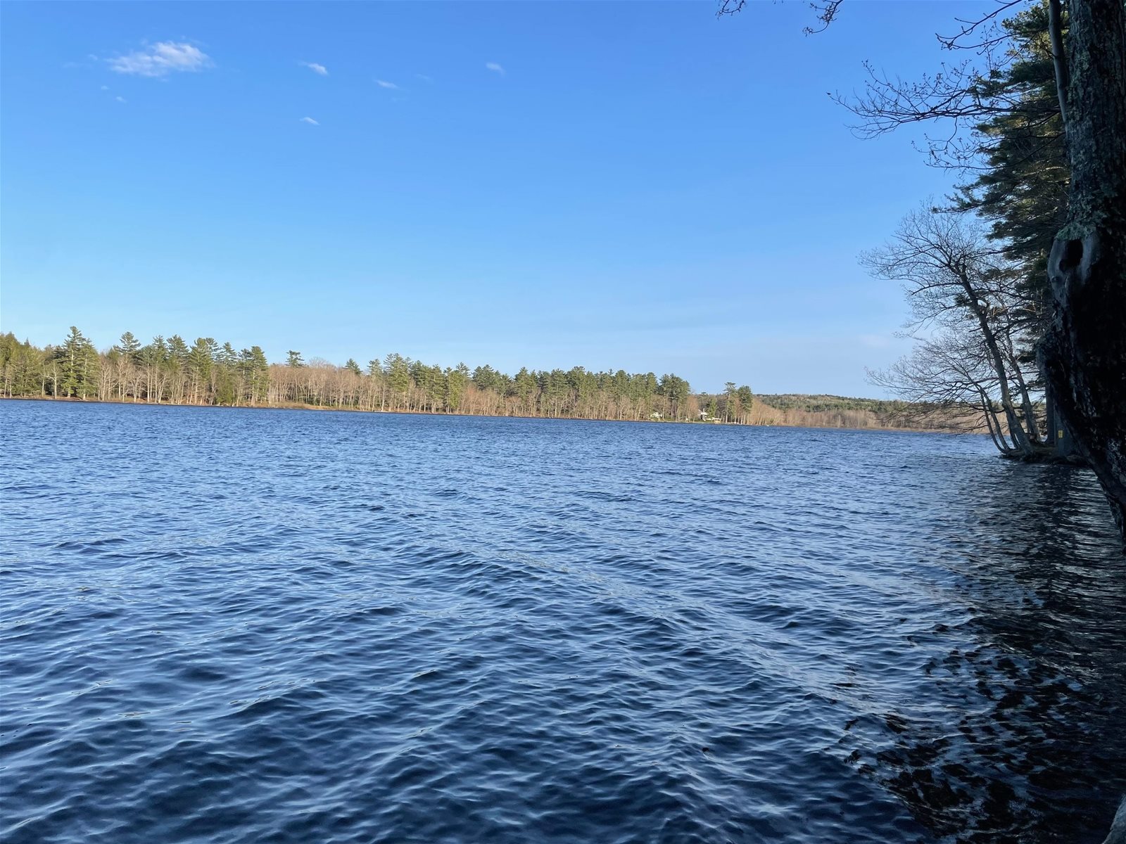 Fernwood Cottage On the Water in Maine Vacation Rental Property