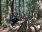 Private walking trail behind the compound