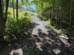 Path to the house