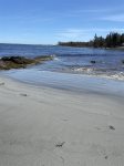 Drift Inn Beach at Low Tide