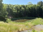 Bear Pond, Private