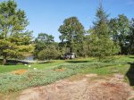 Looking out across the yard toward the ocean - there are no open ocean views but it is just on the other side of the trees