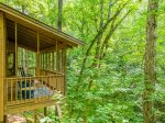 Screened back porch