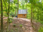 Forest view of cabin