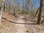 Forest view of cabin