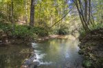 Creek view