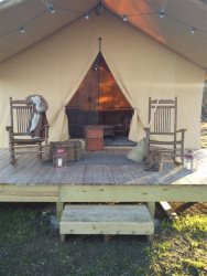 Wine and Whiskey in the Wild  *Glamping an Adventure and Luxury 