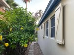 Tropical gardens at Davenport House