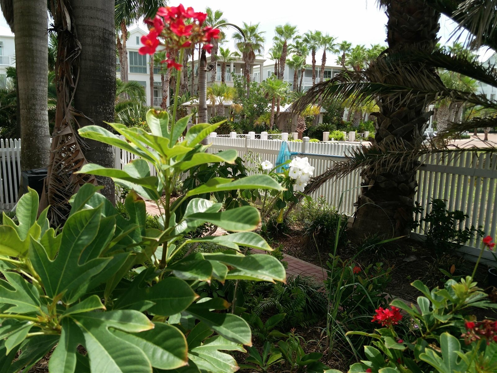 Beach Front Street at beach access 4.5 bedroom...5 bath Home with