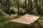 Bring Your Favorite Reads and Enjoy Lounging on Our Hammock Surrounded by the Sounds of Nature