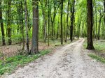 Follow the winding gravel road through a canopy of trees. It`s the kind of entrance that makes the everyday world melt away. 