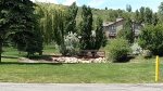 Green space