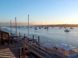 Bayfront Condo with Amazing Views!  Located on the Embarcadero in Private Complex!