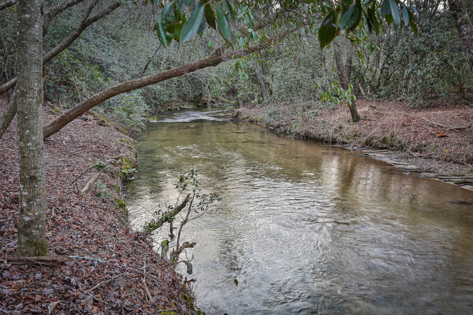 Blue Sky Cabin Rentals Turkey Creek Lodge