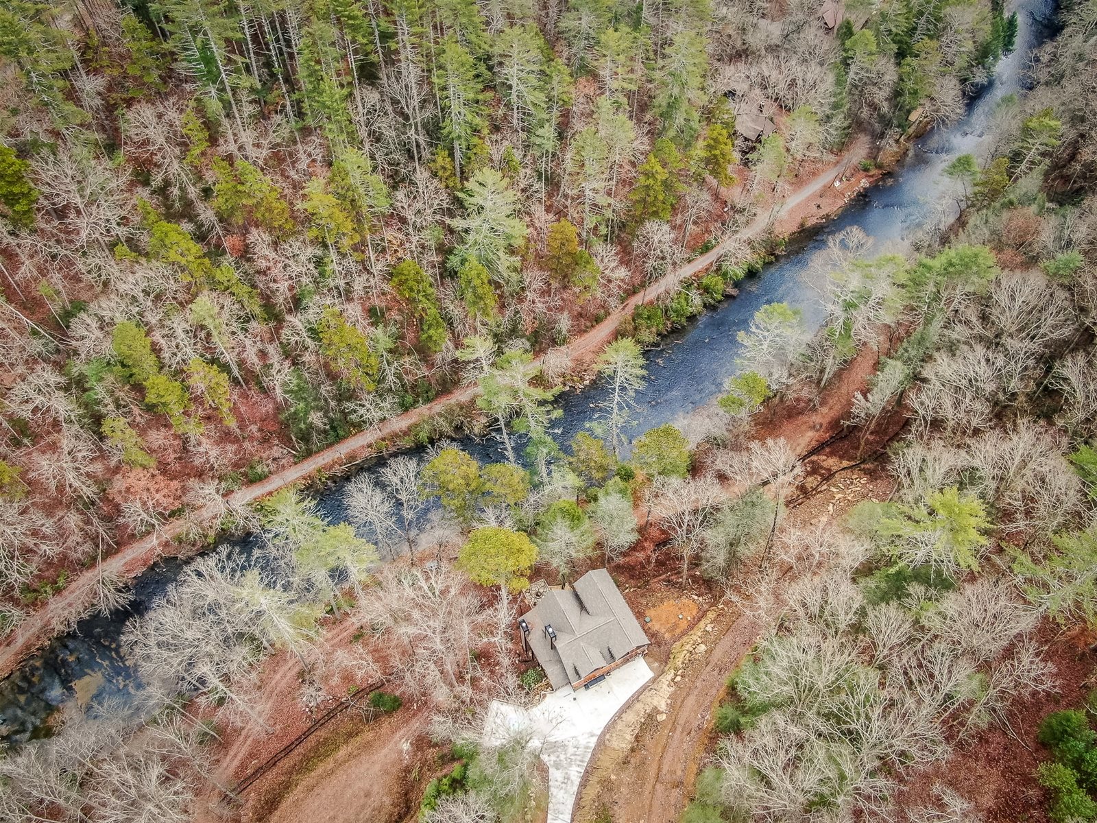 Blue Sky Cabin Rentals Trout About