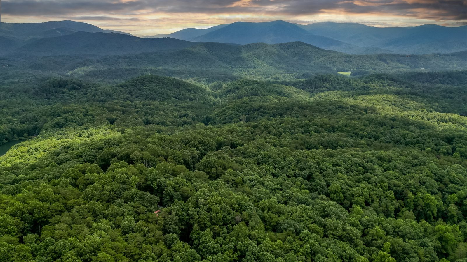 Blue Sky Cabin Rentals: Whiskey Ridge