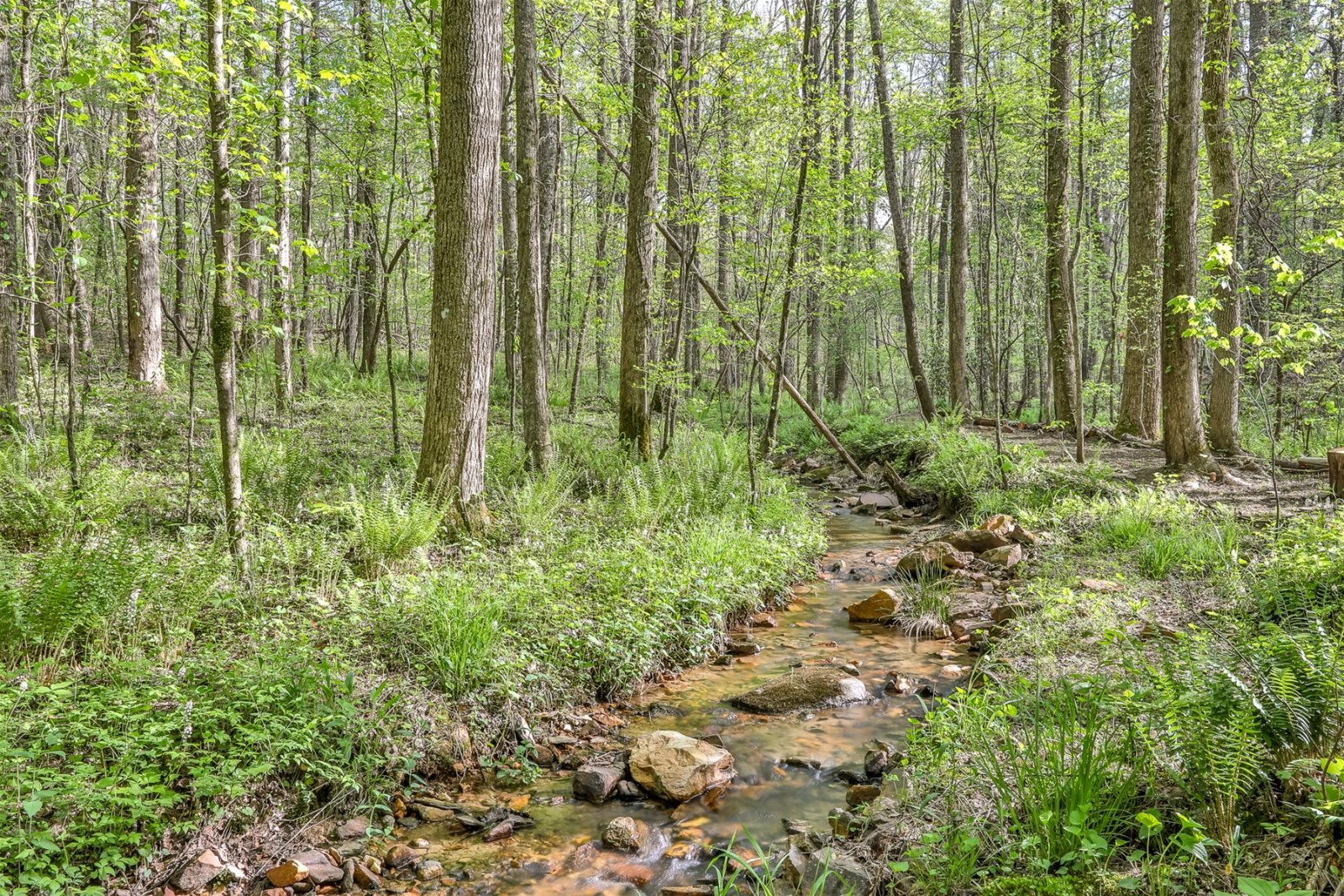 Blue Sky Cabin Rentals Corkscrew Creek