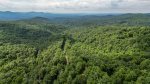 The Ellijay Mountains 